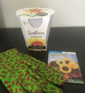 sunflower seeds, gardening gloves